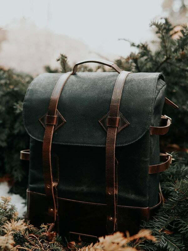 Scelerisque mauris pellentesque pulvinar